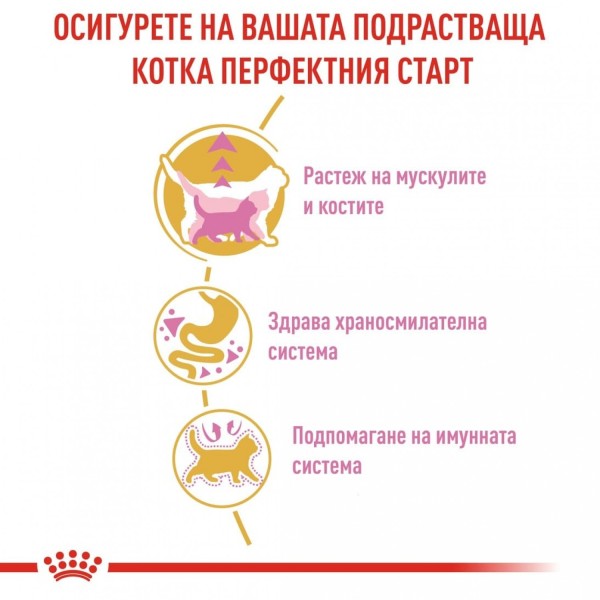 Royal Canin British Shorthair Kitten - Суха храна за подрастващи британски късокосмести котенца до 12 месеца